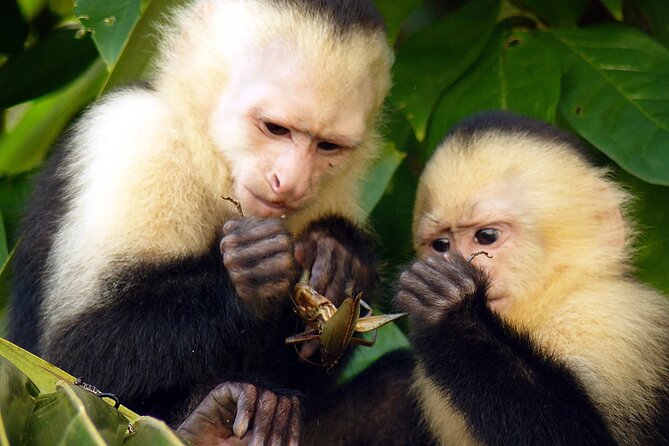 2 Day Private Tour in Tambopata Amazon - Good To Know