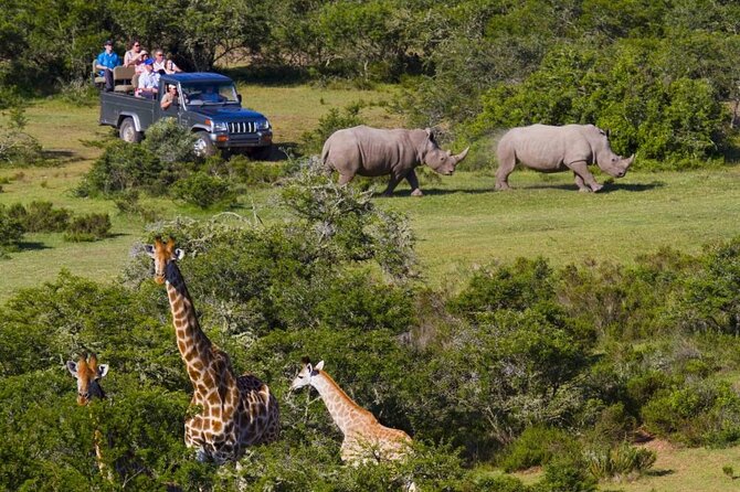 2 Day Small Group Garden Route Big 5 Safari Tour From Cape Town - Good To Know