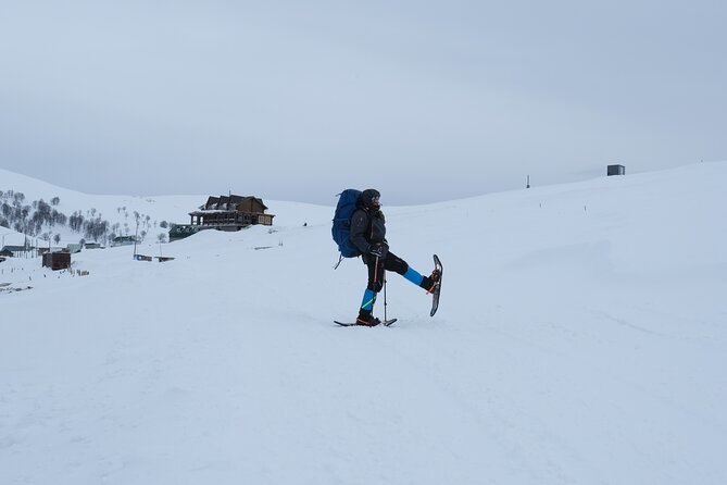 2 Day Snowshoes Hiking in Ajara - Good To Know