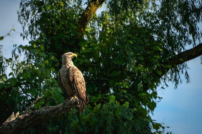 2-Day Tour - The Danube Delta & Black Sea - Good To Know