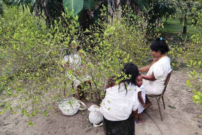 2-Day Tour to Ancestral Heritage From Santa Marta - Good To Know