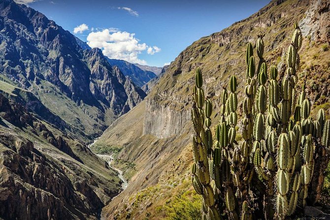 2 Days 1 Night - Colca Canyon Trek From Arequipa - Itinerary Highlights