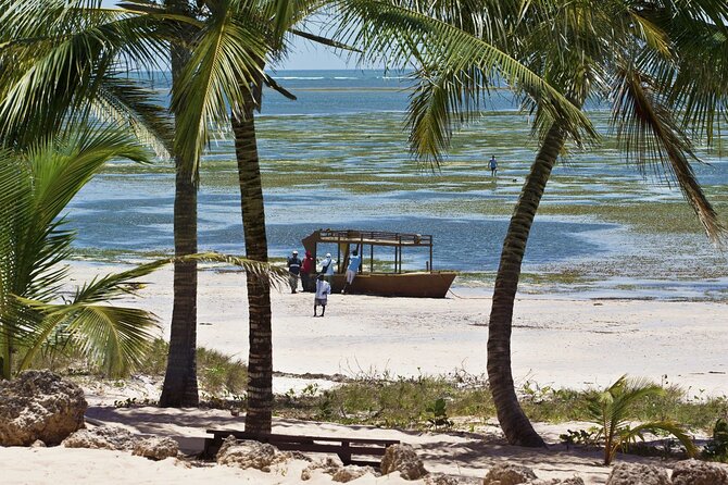 2 Days 1 Night Diani Beach Safari By Air From Nairobi - Good To Know