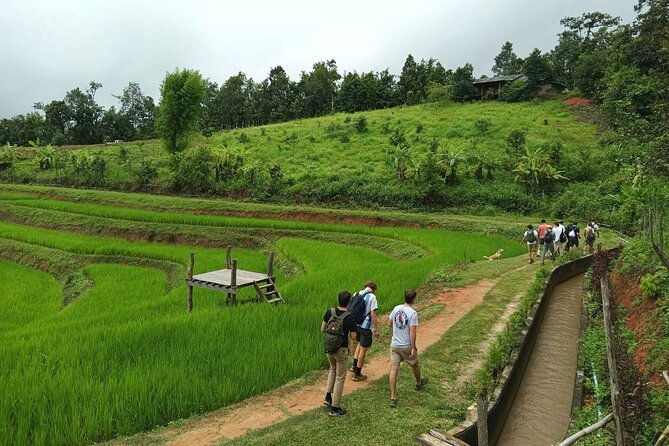 2 Days 1 Night Eco Trekking to the White Pakayaw Village - Good To Know