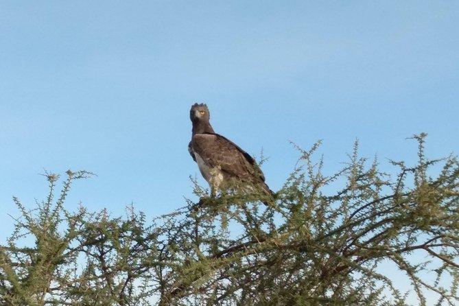 2 Days 1 Night Saltlick Taita Hills - Good To Know