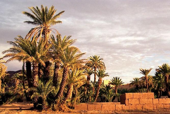 2 Days Desert Tour From Marrakech to Zagora - Good To Know