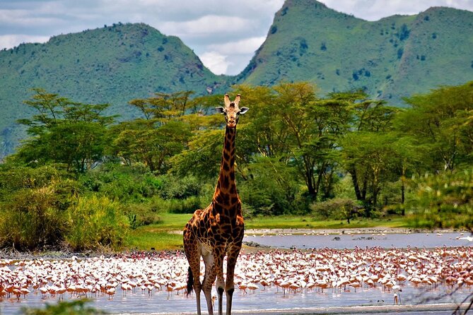 2 Days Prehistoric Tour in Elemantaita, Soysambu and Kariandusi - Good To Know
