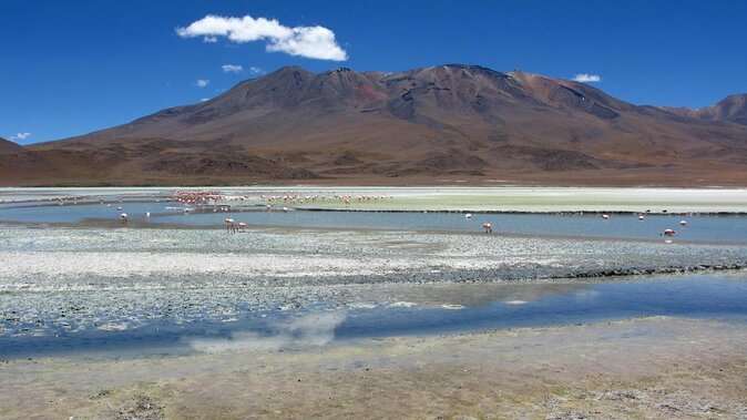 2-Days Private Tour Salar De Uyuni and Tunupa Volcano With Lunch - Good To Know