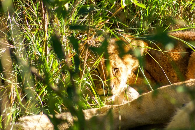 2 Days Safari To Queen Elizabeth National Park Uganda - Good To Know