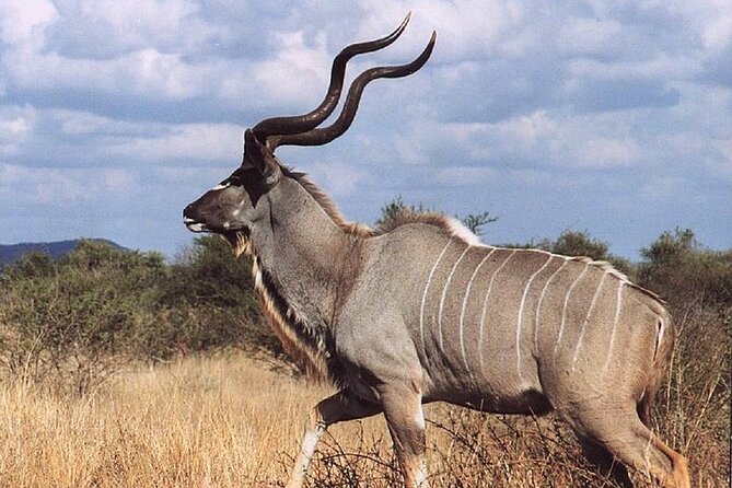 2 Days Wildlife Safari to Awash National Park - Good To Know