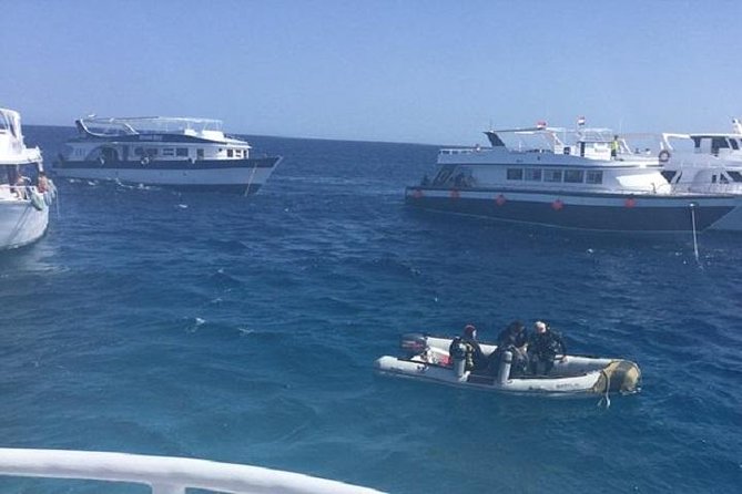 2 Dives From a Comfy Boat for Certified Divers - Good To Know