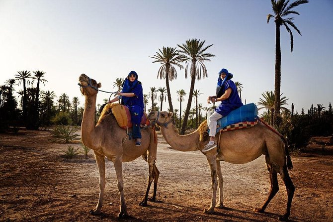 2-Hour Agafay Desert Quad Biking in Marrakech - Tour Overview