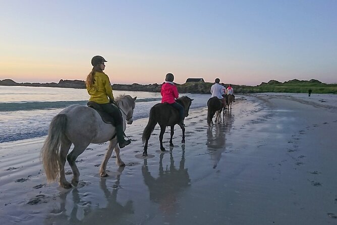 2 Hour Private Horseback Riding & Beach Excursion in Marsa Alam - Good To Know