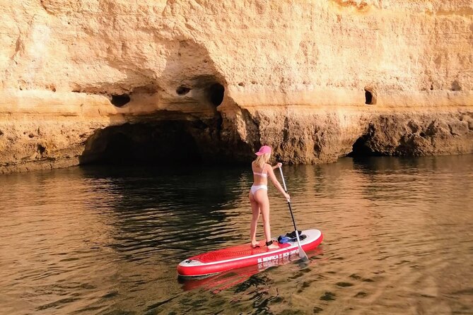 2 Hours Paddle Private Activity in Praia Do Alemão - Good To Know