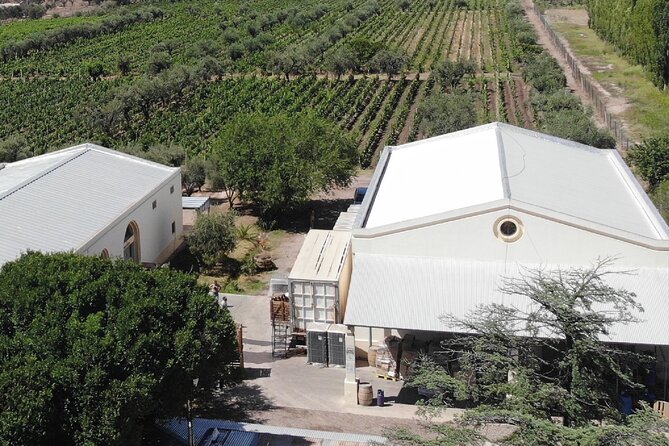2 Wineries +1 Manufactures Oil With Lunch and Transportation Included. - Good To Know