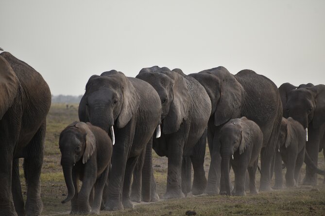 07 Days Kenya Budget Camping Safari - Included Meals & Drinks