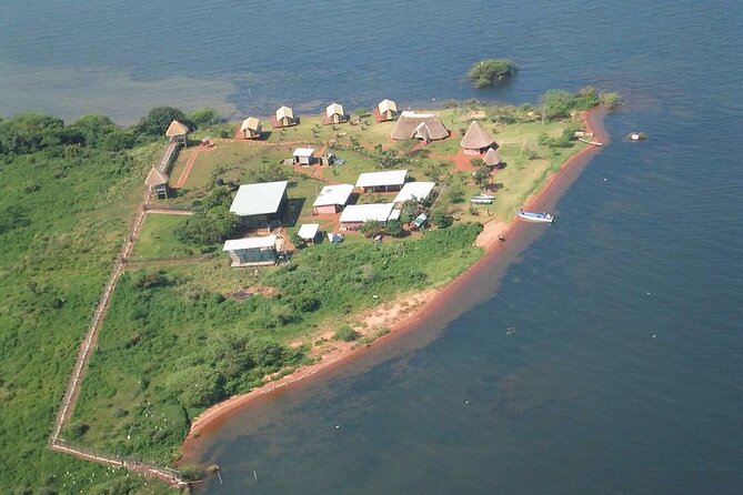 1 Day Chimpanzee Tour of Ngamba Island - Booking Information