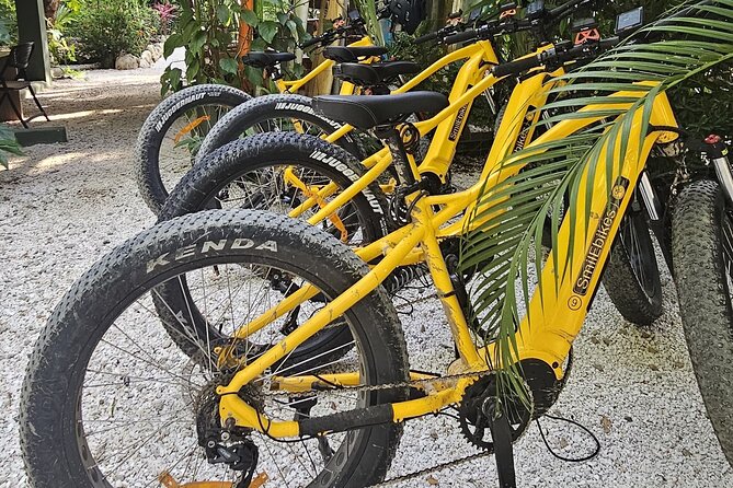 1 Day Electric Bike Rental in Puntarenas - Start Time: 1/31/2024 - 7/2/2025