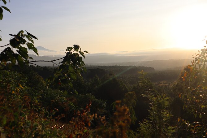 1 Day Hike Arusha - Inclusions