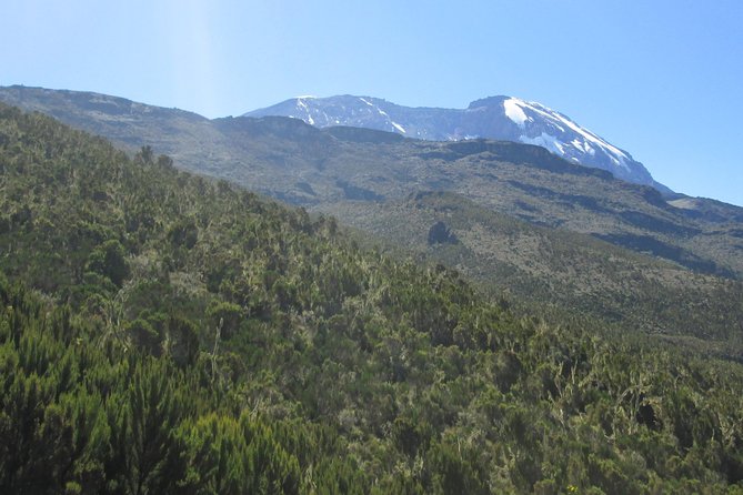 1 Day Kilimanjaro Hike Machame Route - Inclusions and Exclusions