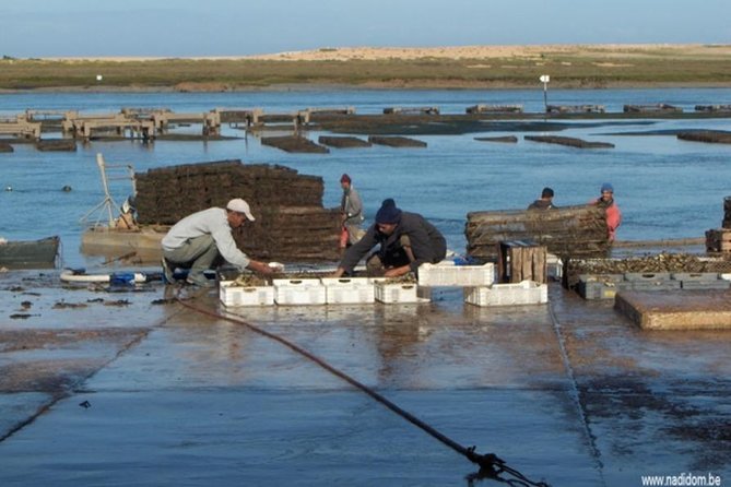 1 Day Private Excursion to Oualidia From Rabat - Transportation Details