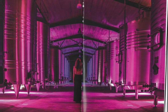 1-Day Private Wine Tour in St-Émilion Cellar Circuit - Location Details