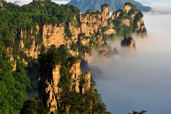1 Day Private ZJJ National Park Exploration With Hotel in Yangjiajie (Standard) - Tour Details