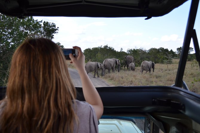 1 Day Safari - Ol Pejeta Conservancy.