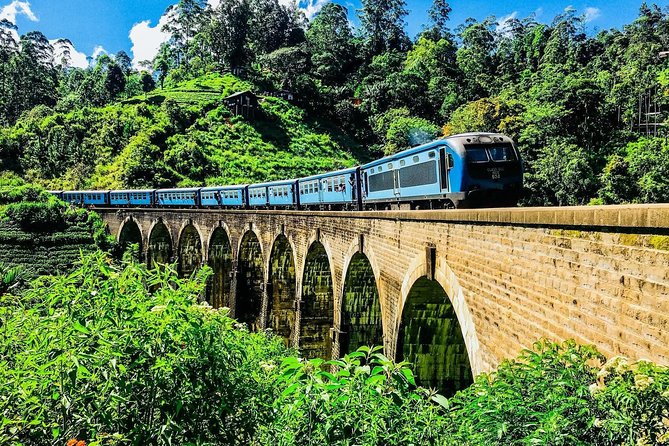1 Day Tour of Ella From Kandy
