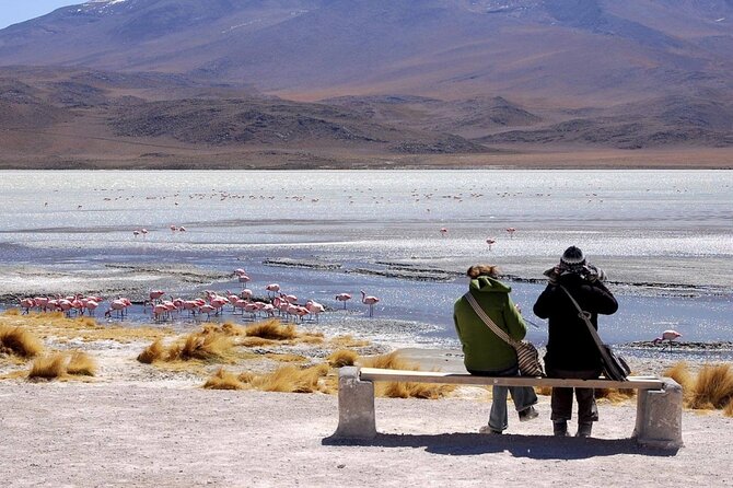1 Day Tour Uyuni Salt Flats - Tour Highlights and Features