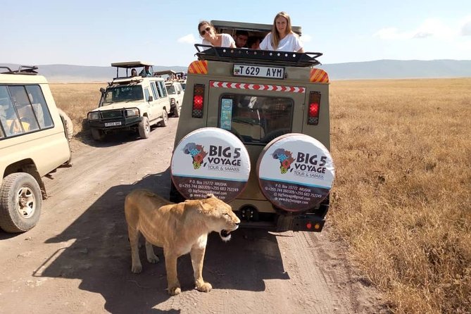 1 Day Trip at Ngorongoro Crater - Itinerary Highlights