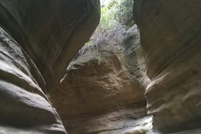 1 Day Trip to Hells Gate National Park and Lake Naivasha Boat Ride - Inclusions and Exclusions