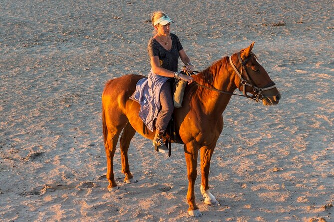 1-Hour Horse Ride Adventure in Sharm El-Sheikh - Inclusions and Amenities