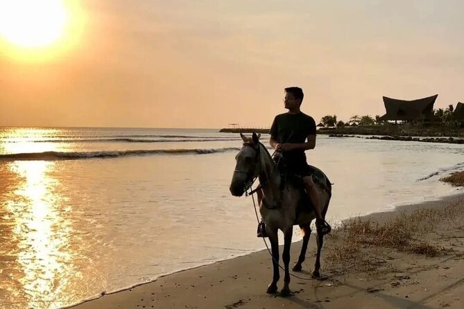 1-Hour Horseback Ride on the Beaches of Manzanillo Del Mar - Pickup Information