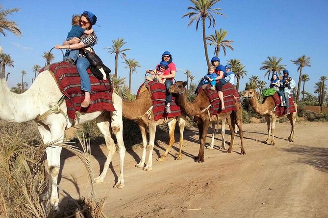 1 Hour Shared Camel Ride in Palmeraie - Inclusions and Exclusions