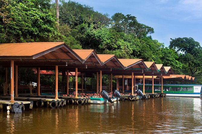 1 Night in Tortuguero + Tour to the Tortuguero National Park - Wildlife Encounters