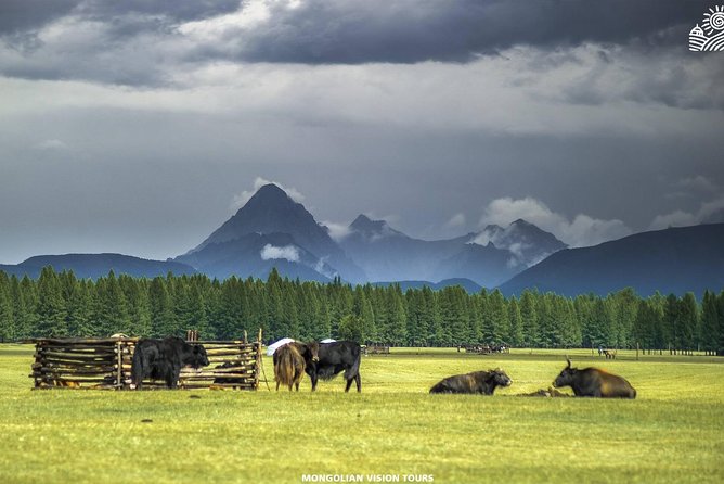 10 Days EXPLORE THE BEAUTY OF NORTHERN MONGOLIA - Accommodation Information