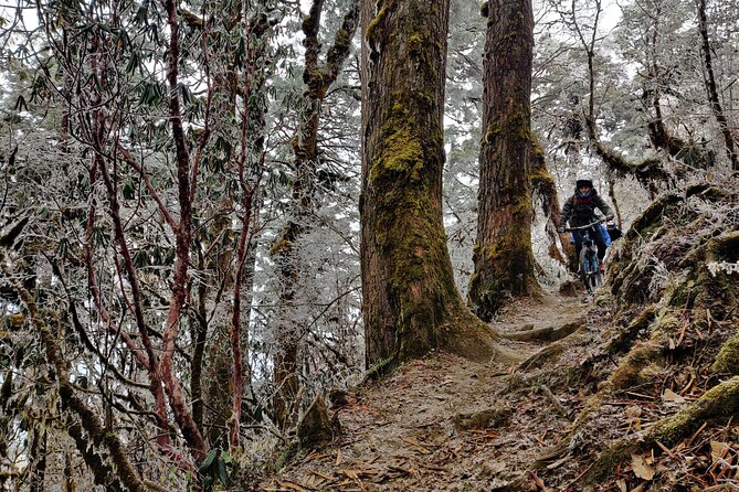 10 Days Mountain Biking Expedition in Bhutan - Accommodations and Meals