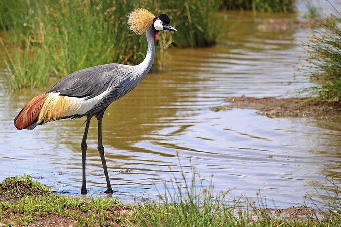 11-Day Private Lake Hopping Tour in Safari - Itinerary Highlights