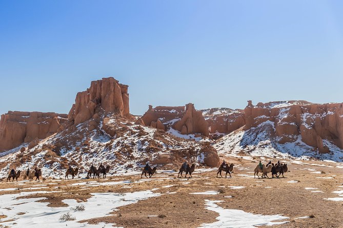 11 Days Camel Caravan of South Gobi - Inclusions and Exclusions