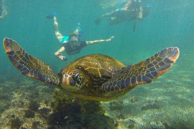 12-Day Private Ecuador & Galapagos Regenerative Tour - Accommodation Details