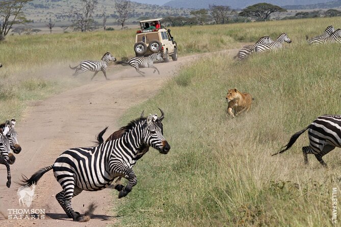 12-Day Private Tanzania Safari - Accommodations and Meals