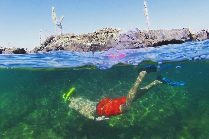 12 Days Exploring Galapagos Santa Cruz- Isabela - San Cristobal - Santa Cruz Island Highlights