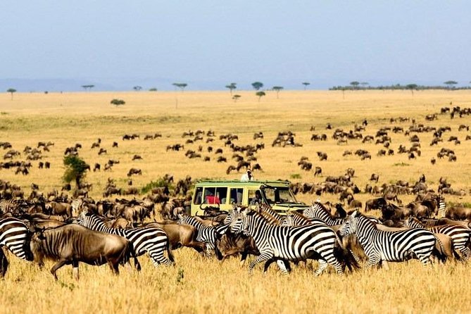 12 Days Kenya Safari Holidays