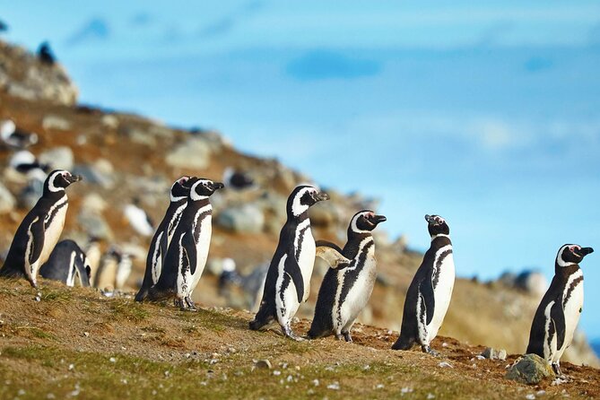 13-Day Tour Chile From North to South - Tour Inclusions