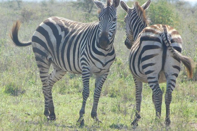 14 Days Dream of Africa Safari - Safari Itinerary Overview