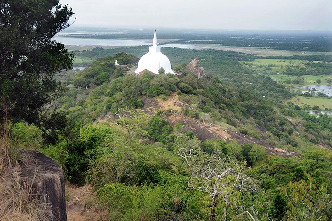 14-Nights/15-Days Sri Lanka Round Tour by Minivan - With Nilaveli Beach - Tour Highlights