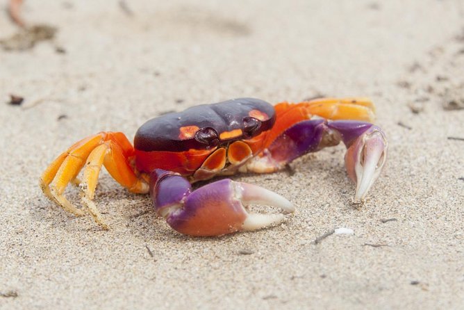 15 Days Beaches and Nature With Santa Teresa From Liberia - Transportation Information
