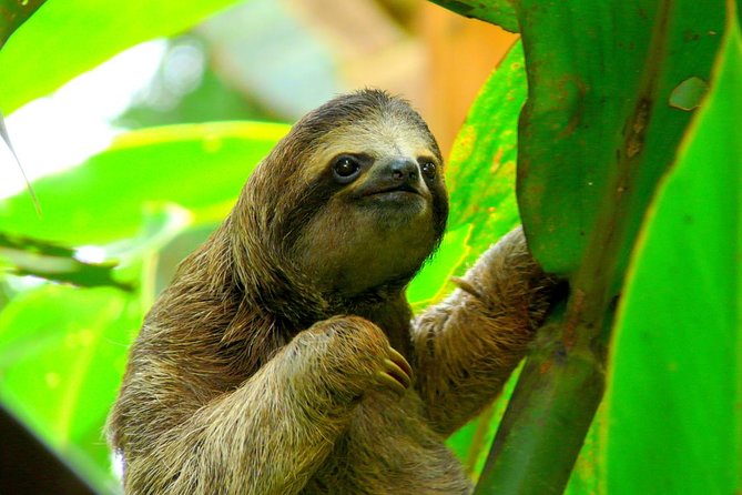15 Days Beaches and Nature With Tambor, Self-Drive From Liberia - Accommodation Details