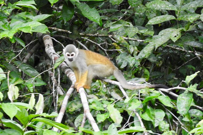 15 Days Classic Highlights Ecuador & Galapagos Islands - Accommodation and Meals Included